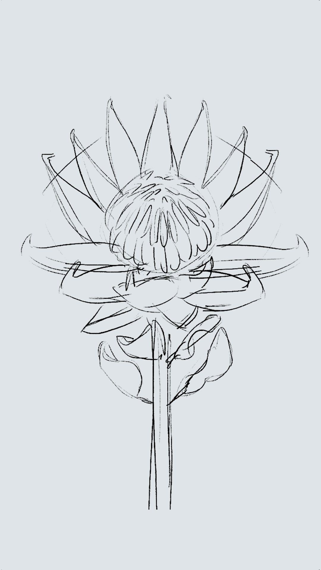 DavidOctane-floripedia-protea king_1