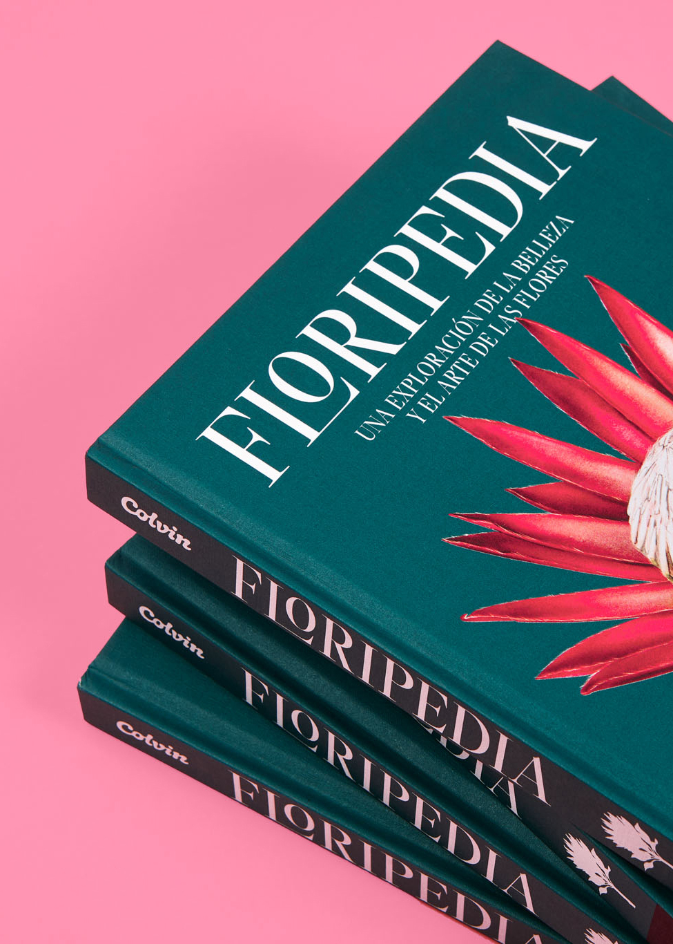 StudioEvaVesikansa_FLORIPEDIA_CassandraStuyt_DavidOctane_15