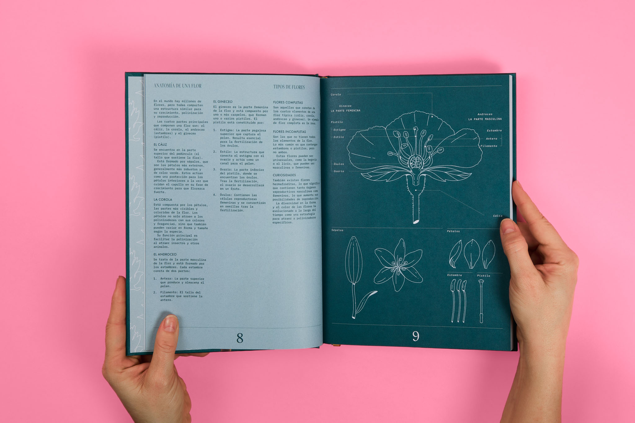 StudioEvaVesikansa_FLORIPEDIA_CassandraStuyt_DavidOctane_21