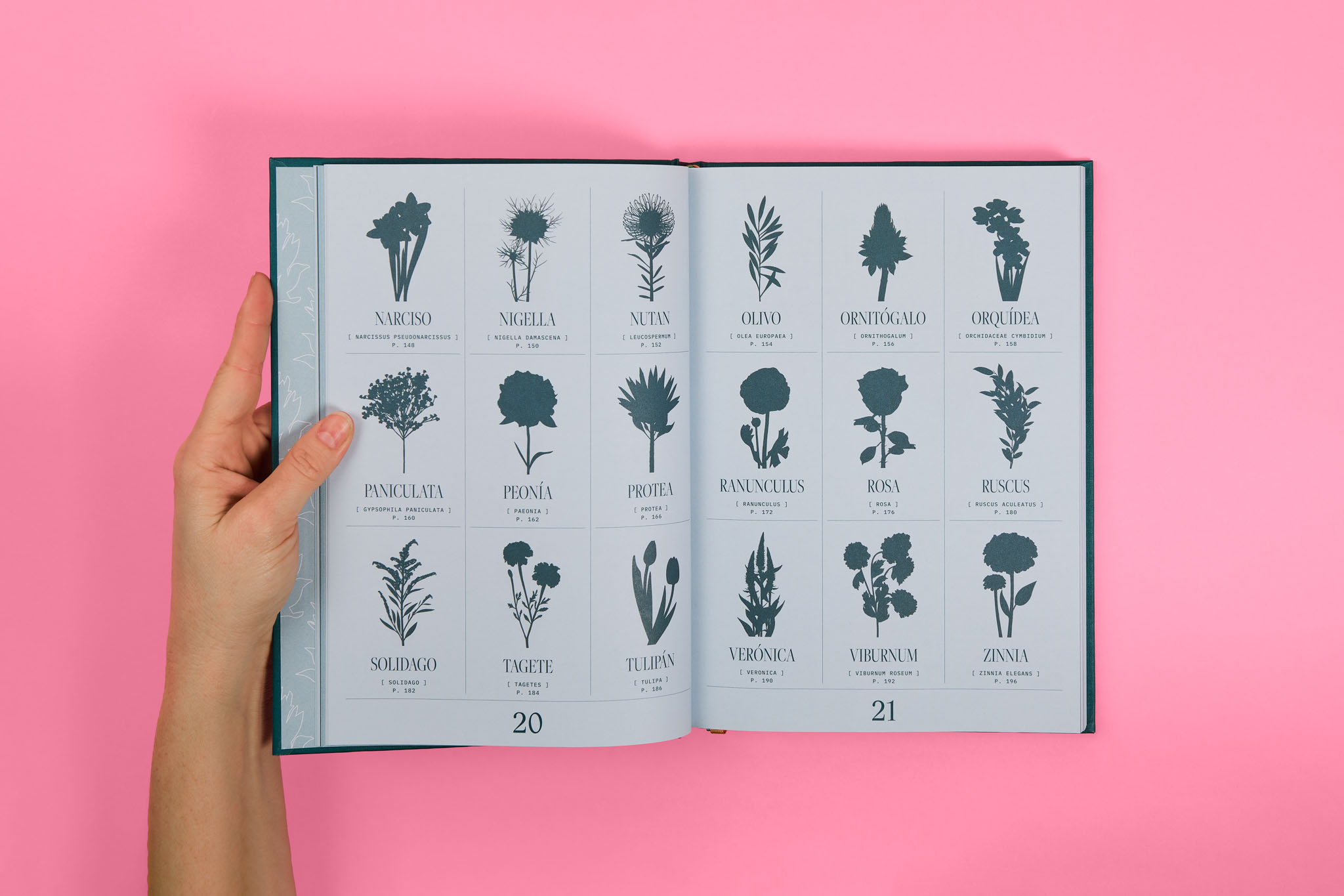 StudioEvaVesikansa_FLORIPEDIA_CassandraStuyt_DavidOctane_22