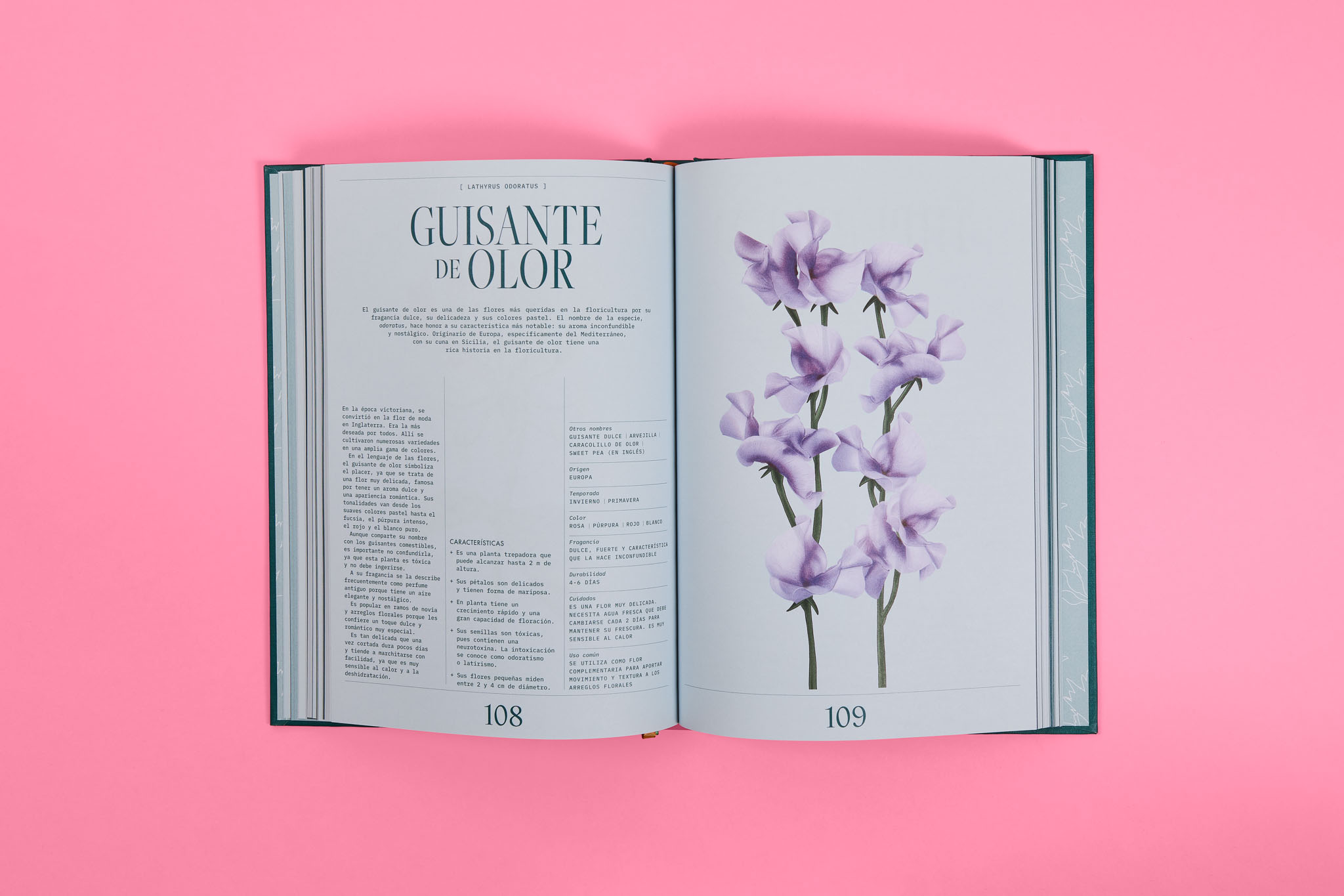 StudioEvaVesikansa_FLORIPEDIA_CassandraStuyt_DavidOctane_25