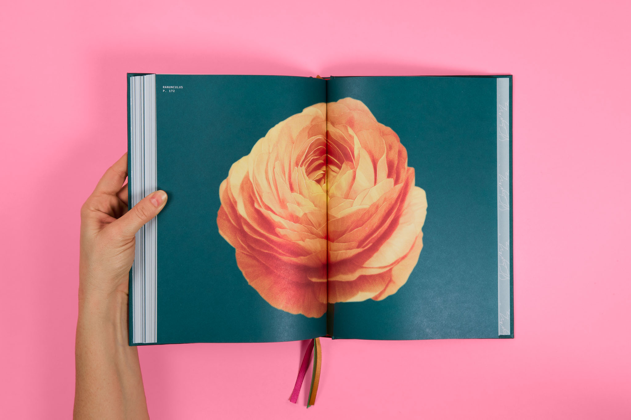 StudioEvaVesikansa_FLORIPEDIA_CassandraStuyt_DavidOctane_32