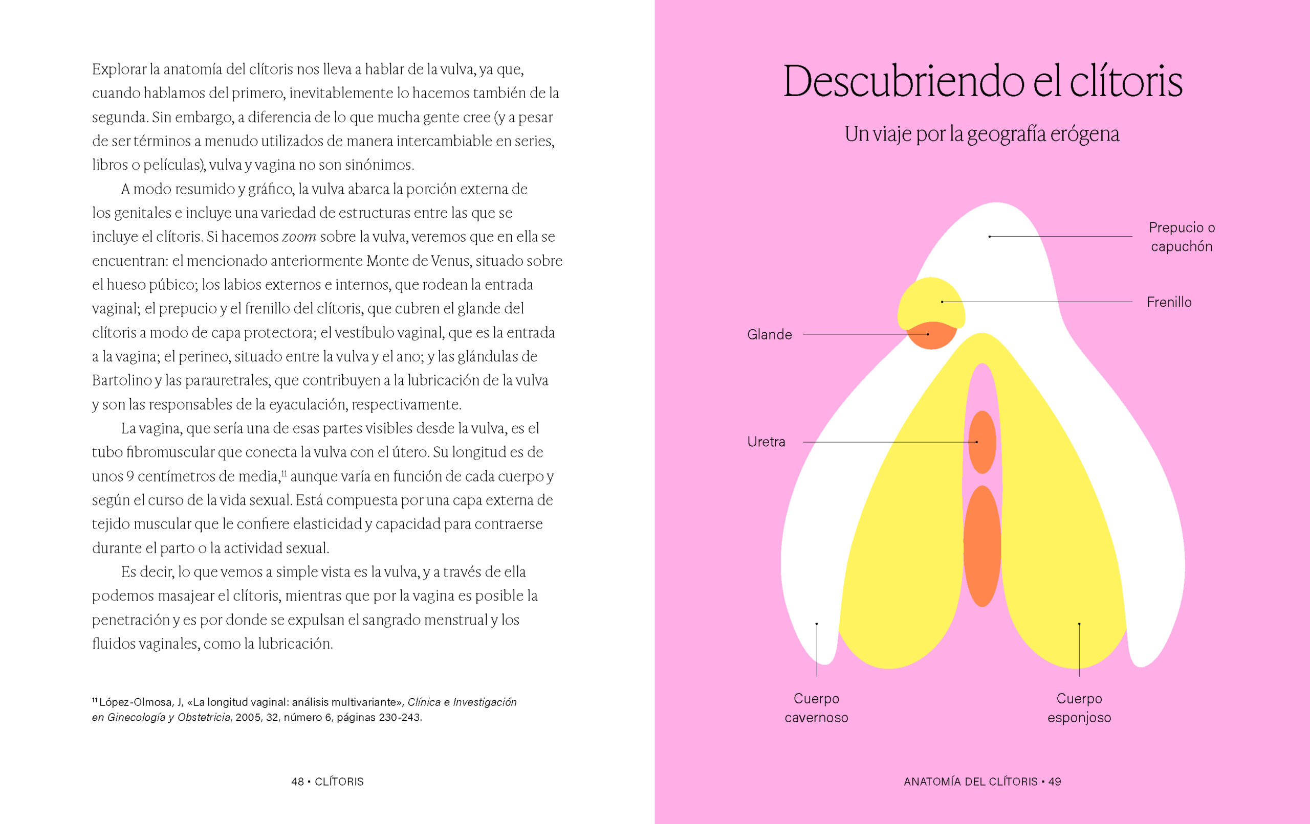 StudioEvaVesikansa_SaberesPlacer_Platanomelon_CincoTintas7