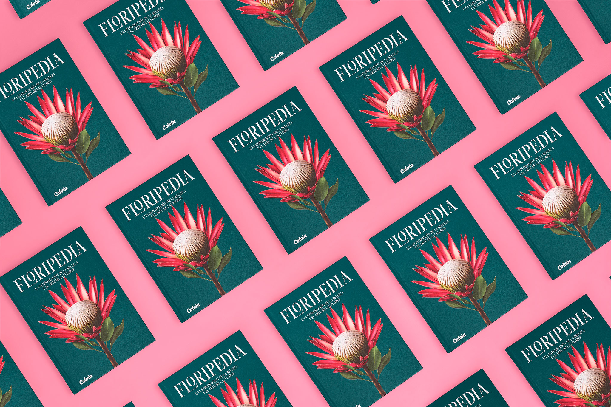 StudioEvaVesikansa_FLORIPEDIA_CassandraStuyt_DavidOctane_34_f