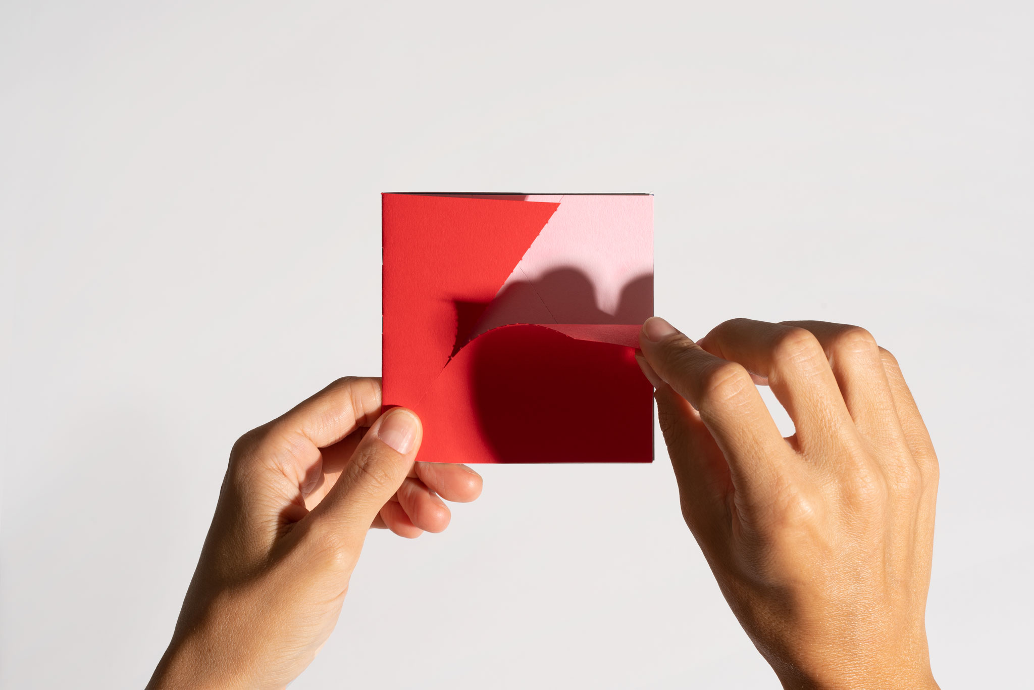 VELKRO_PaperWork_Booklets_01